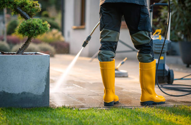 Best Roof Pressure Washing  in Winfield, IL